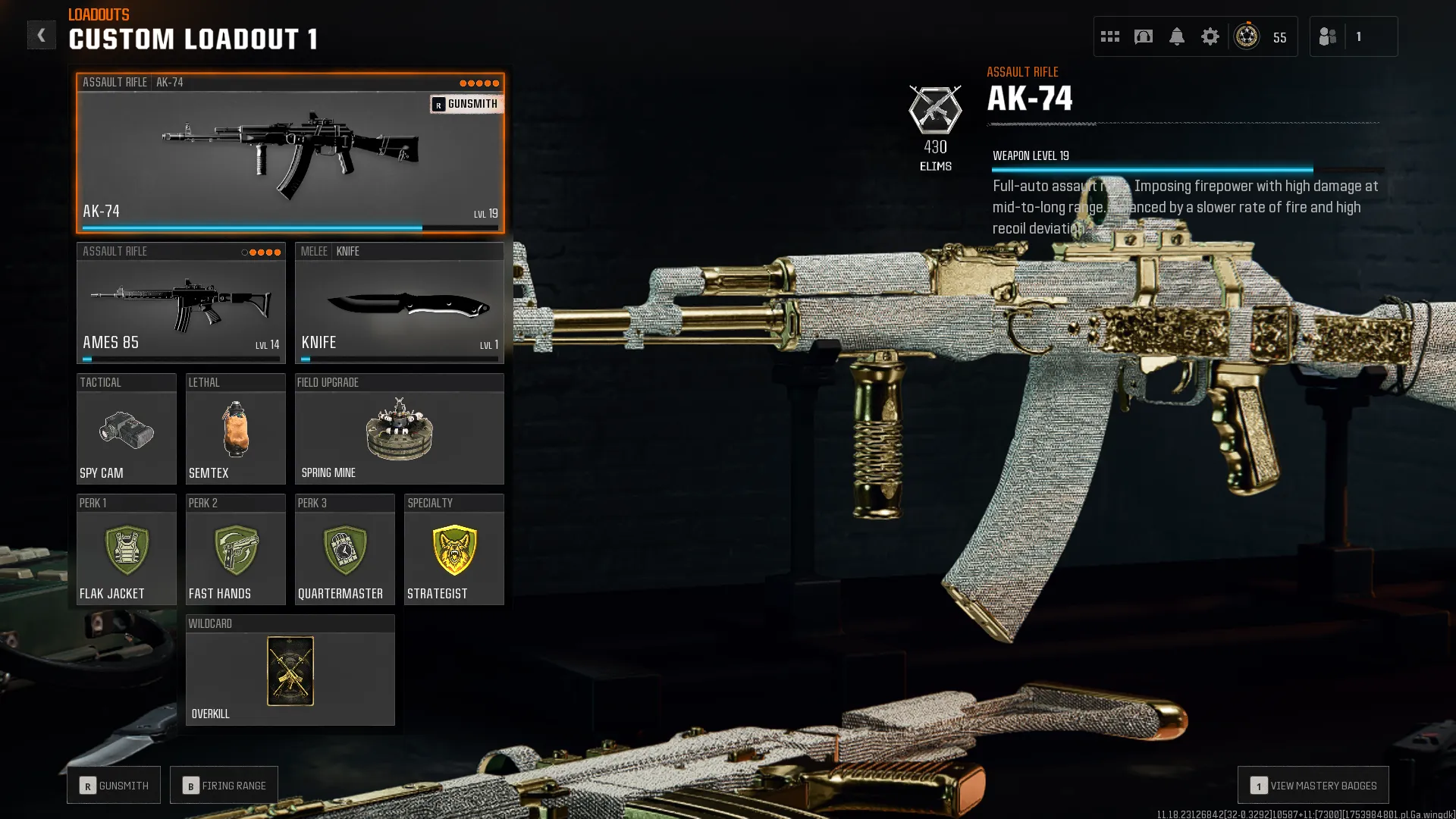 BO6💎13 Diamond Camos ✅Level 55 | Linkable to all platform ✅ Instant Delivery